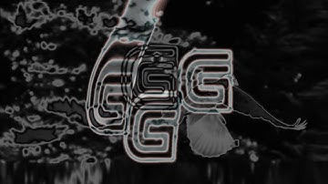 Introducing Genesis Deathbox // ANGEL SINNER Apex Legends Montage