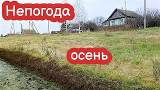 VLOG Осеннее видео. Непогода. Ветер