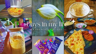 realistic days in my life || Indian girl • _ •|| Aesthetic living by apparently dipsy