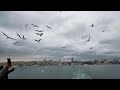 Istanbul 2023,  seen through my video camera...