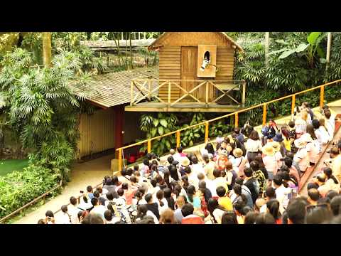 Jurong Bird Park - High flyers show - Part 2 of 3