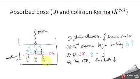1.5 - Dose vs  Kerma