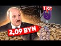 Лукашенко и Хулиномика по Беларуски