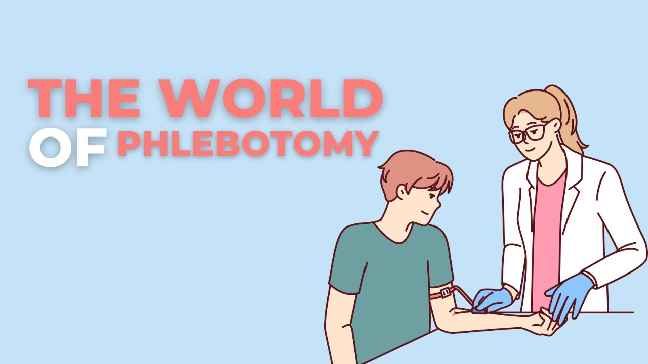 The World Of Phlebotomy