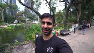 Vikkstar Spots Something Ridiculous