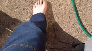 Barefoot on the grass