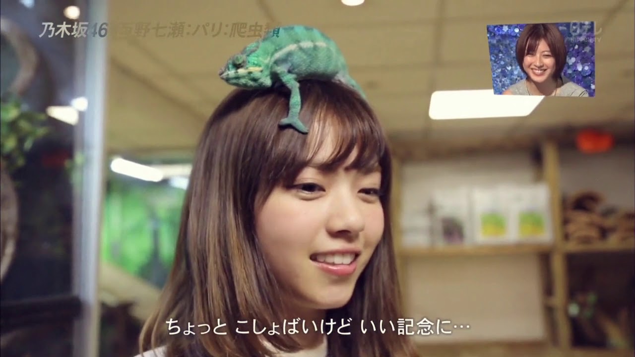 西野七瀬的魅力絕不只是可愛！