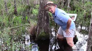 Famous All About Moss in 60 Seconds Profile