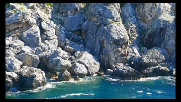 اسمع سورة الضحى من القارئ المنشد الصغير سفيان الصياد بمقام الصبى