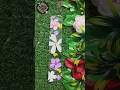 How To Make Beautiful Bookmark With Flower's😍🌺 #artist #shortsfeed #trending #bookmark #flowers #new