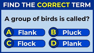 Vocabulary Challenge: Find The Correct Term! #englishchallenge 5