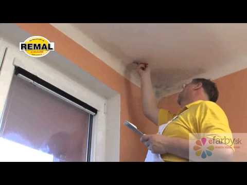 Video: Ako navždy odstrániť pleseň na stenách v byte