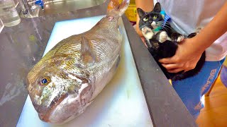 Giant sea bream is processed and cooked