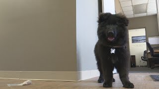 Famous Baxter County’s newest employee will fill a much-needed role in crisis situations Profile