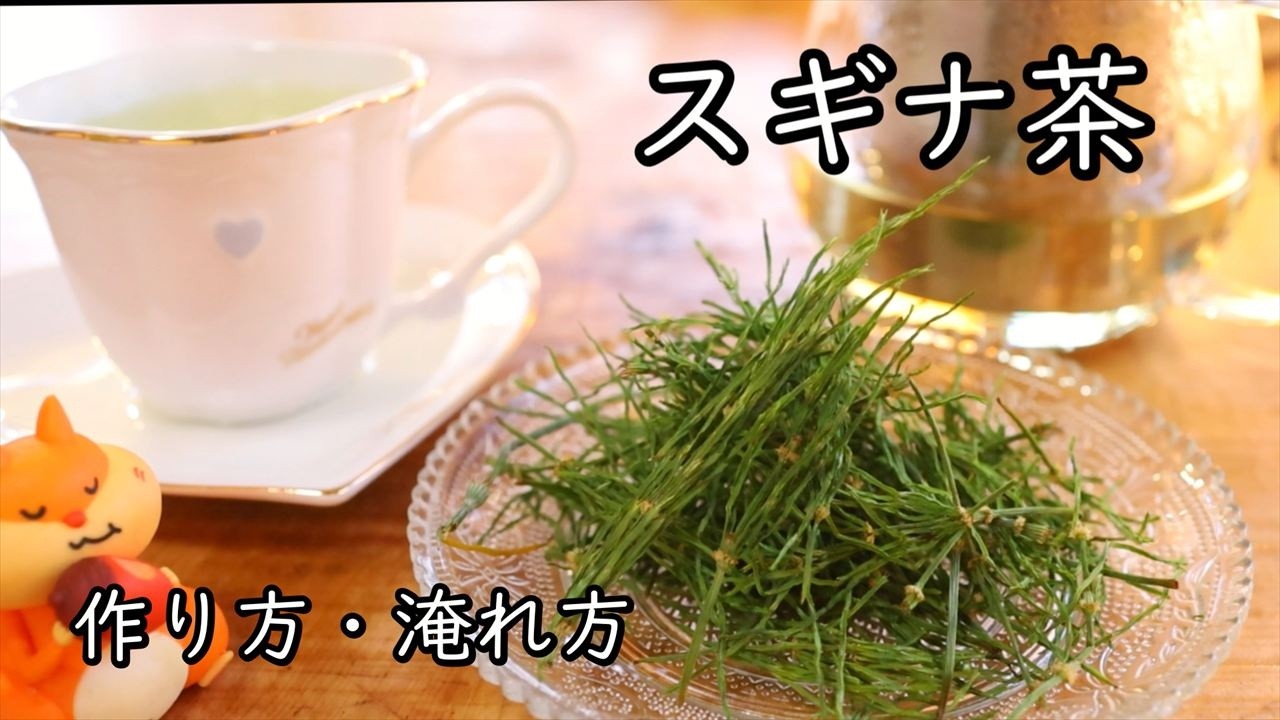 スギナ茶の作り方・淹れ方【野草】｜Coriscooking