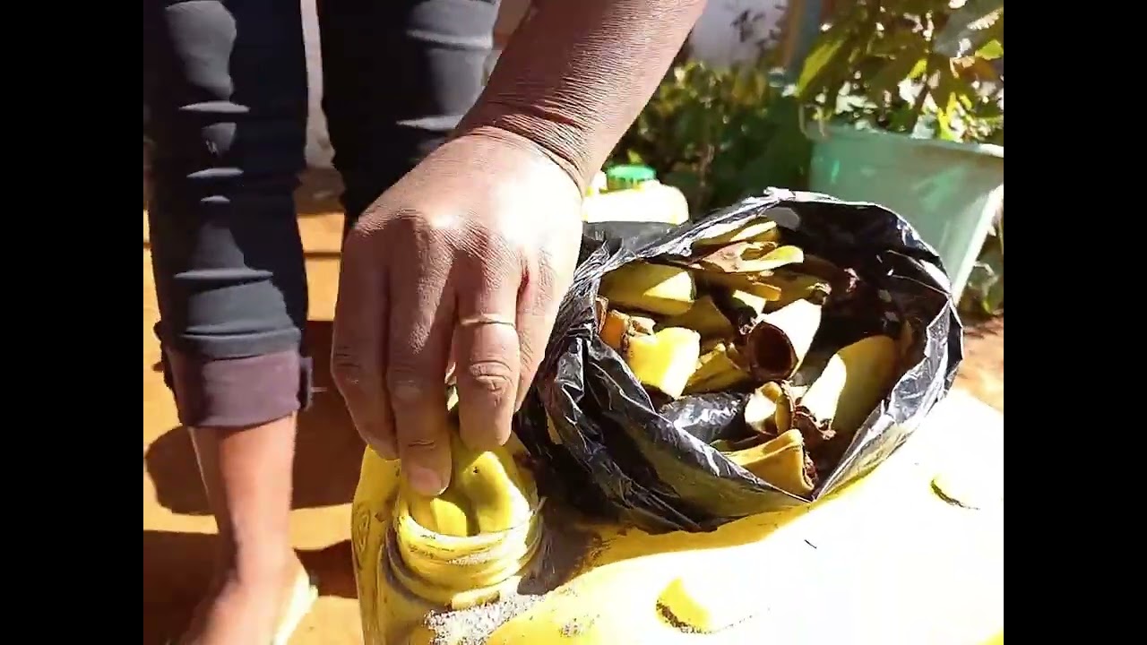 Zezika ranony biolojika