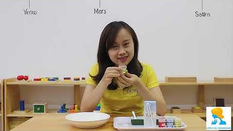 Sự chuyển động của màu sắc (EXPERIENCE: MOTION OF COLOR)