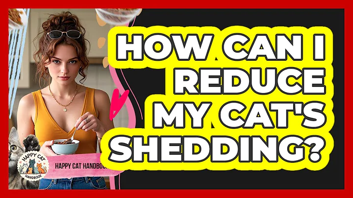 How Can I Reduce My Cat's Shedding?