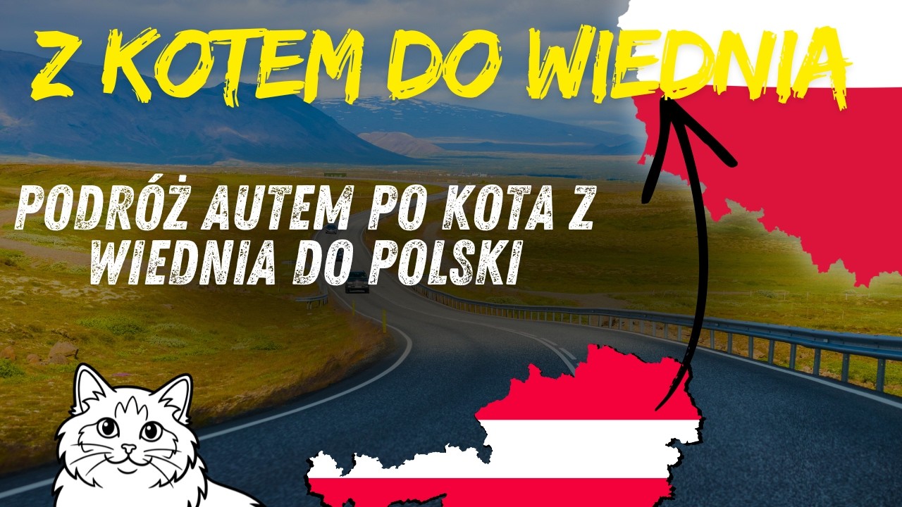 Podróż autem po kota z Wiednia do Polski.