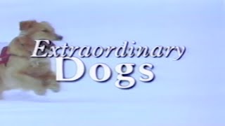 Extraordinary Dogs 1997 Nature Dogs Vhs Rip Vhs Digitization Pbs Doentary, Animals, Pets