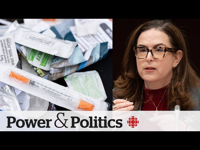 Ottawa backs B.C. request to recriminalize illicit drugs in public spaces | Power & Politics