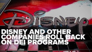 Goldman Sachs, PBS & Disney all rolled back DEI programs this week