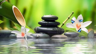 Relaxing Bamboo Music, Meditation Music, Nature Sounds, Relaxing Piano Music & Water Sounds, Calming by Peaceful Moments 23,192 views 4 weeks ago 3 hours, 49 minutes