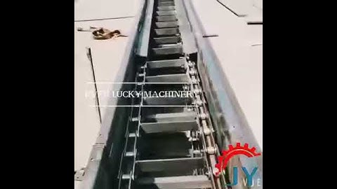 scraper conveyor -Ever Lucky Machinery