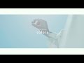 marycoco「colors」Music Video