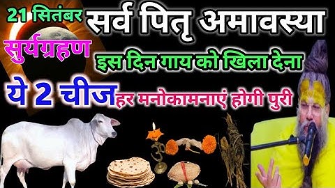 21 सितंबर सर्व पितृ अमावस्या के दिन गाय को खिला दे ये 2 गरीबी दूर हो जायेगी आप के घर में पैसे की काम