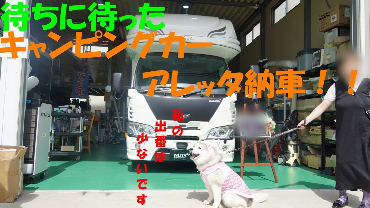 さくらとアレッタ納車　【シベリアンハスキー　ナッツRV　アレッタ】