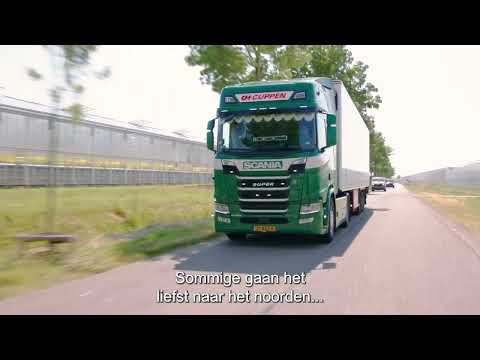 Vacature Chauffeur Internationaal