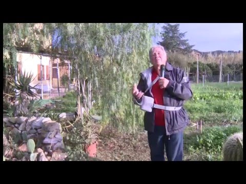 Video: Piantare Il Pepe Nel Terreno