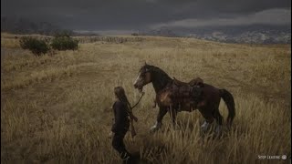 Red Dead Redemption 2_20240310122952