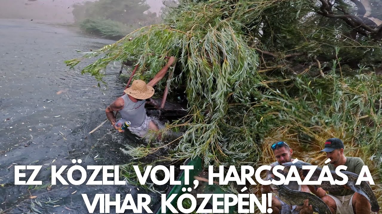 Ránk szakadt egy hatalmas fa a vihar közepén, kuttyogatás közben!!
