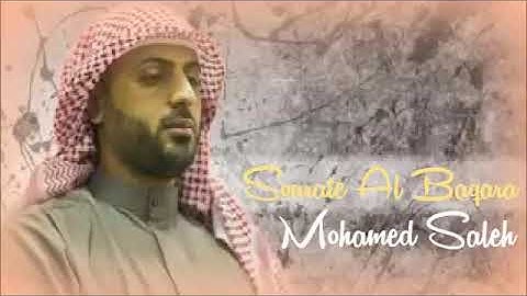 HD Sourat Al Baqara   Yamani Mohamed Saleh   سورة البقرة كاملة بصوت الشيخ  محمد صالح اليمني
