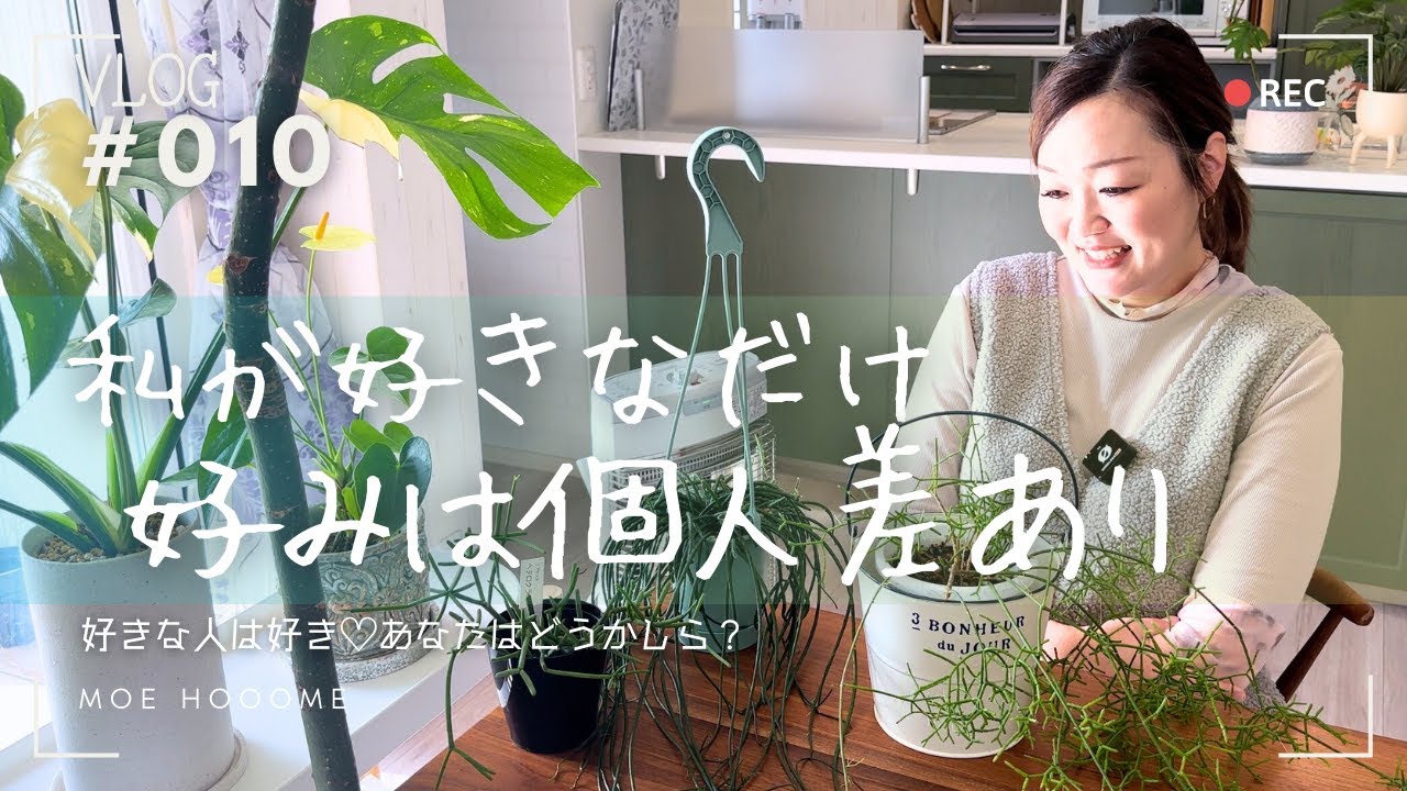 【リプサリス】種類が豊富 育てるの若干苦戦する種類もある。（Vlog/010）