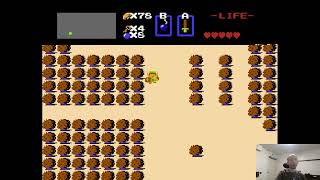 Zelda: The Legend Continues, Miniseries (Part 12