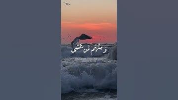سورة النور الآيات{ ٤٥ -٤٦ } #المصحف #اكسبلور #quran #دويتو #islamicfestival #duet #الرحمن #islamich