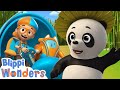 Panda Play! 😊🐼 | Imagination | Blippi Wonders | Express Yourself! | Moonbug Kids
