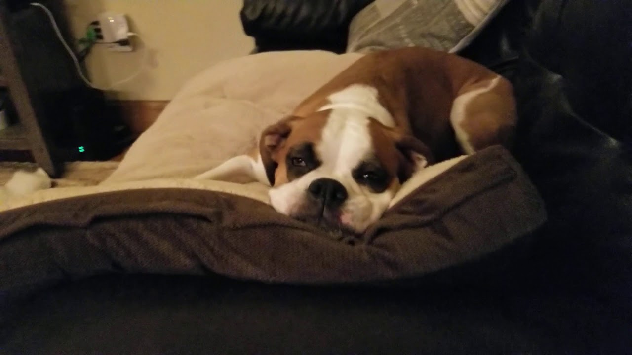 Medicine Park 8-28-2019 