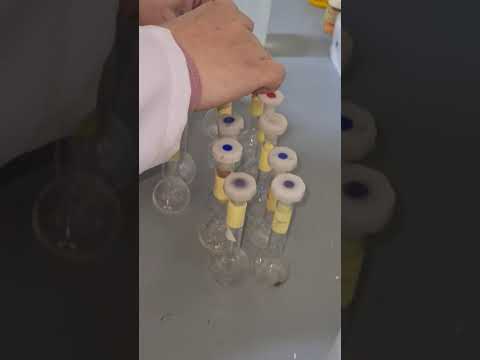 فيديو: كيف تحل البروموفينول الأزرق؟