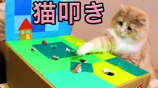 猫パンチ機！（POP）Fighting Cat PDS