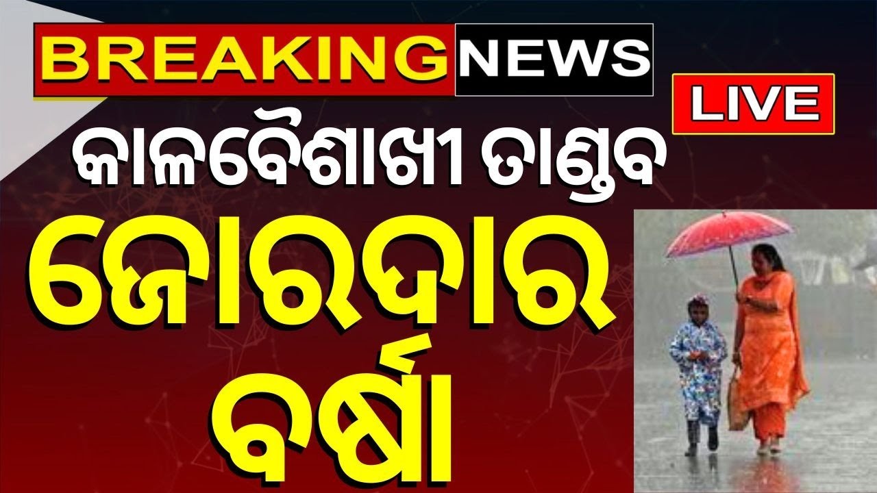Rain News Live: ପ୍ରବଳ ବର୍ଷା ଆଲର୍ଟ ! Odisha Rain News | IMD Issues Rain Alert| Weather News|Odia News