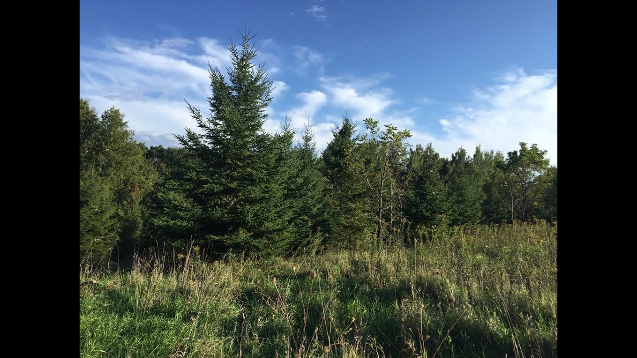 Ridge Top Rec Property Iowa County WI Real Estate YouTube