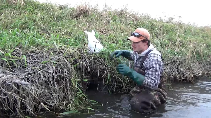 How to Set a Pocket Set