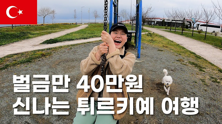 🇬🇪🇹🇷 벌금만 40만원 신나는 터키 튀르키예 여행 / 캠핑카 여행 / 강아지 해외여행 / 스타렉스 캠핑카 / 유라시아 횡단 [034]