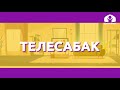 Математика 2-класс / Сынык сызык / ТЕЛЕСАБАК 15.09.20