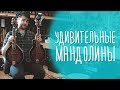 Мандолины Sigma Guitars (By C.F. Martin & Co, 1970). Александр Дмитриенко из Red Brick Boys, Москва