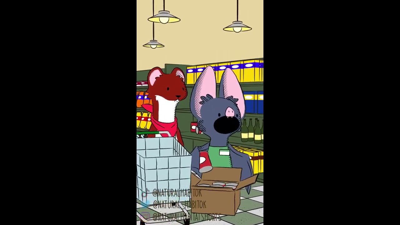 Natural Habitat Shorts Bats Use Echolocation To Find Things They Can T See 